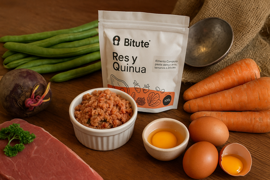 Biodieta para perros: ingredientes naturales frescos para alimentación canina – Bitute Bogotá