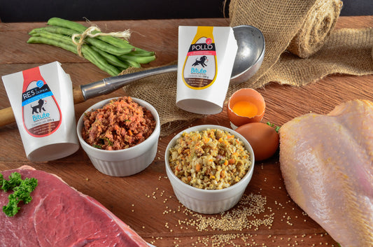 Plan mensual de comida natural para perros en Bogotá: menús de res y pollo – Bitute