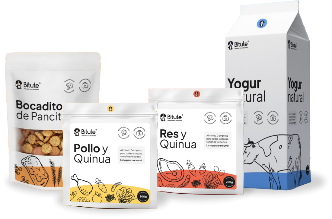 Cuánto cuesta alimentar a tu perro con comida natural en Bogotá: menús y presentaciones – Bitute