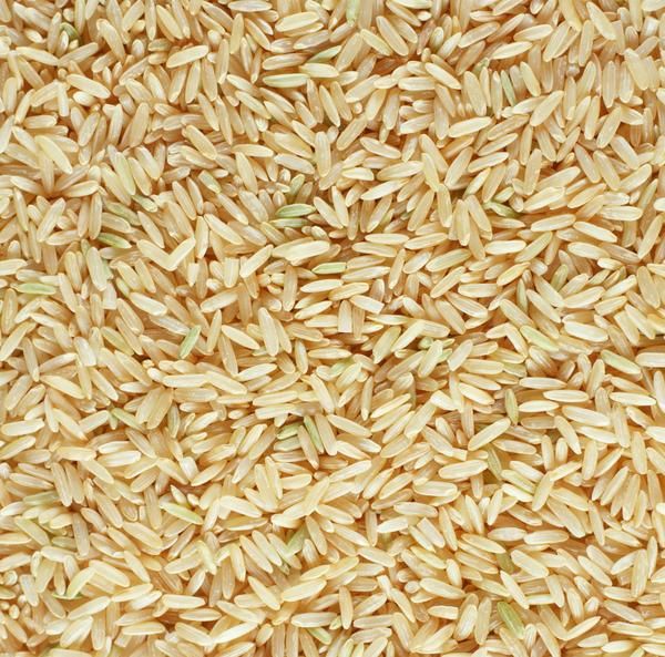 Arroz y cereales como carbohidratos para perros – guía de nutrición canina natural, Bitute