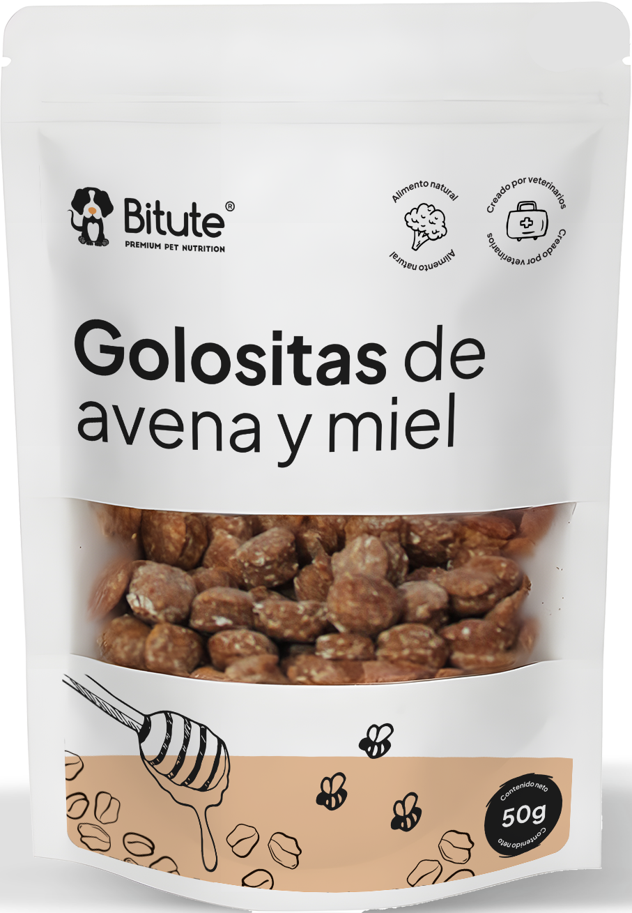 Golositas de Avena y Miel